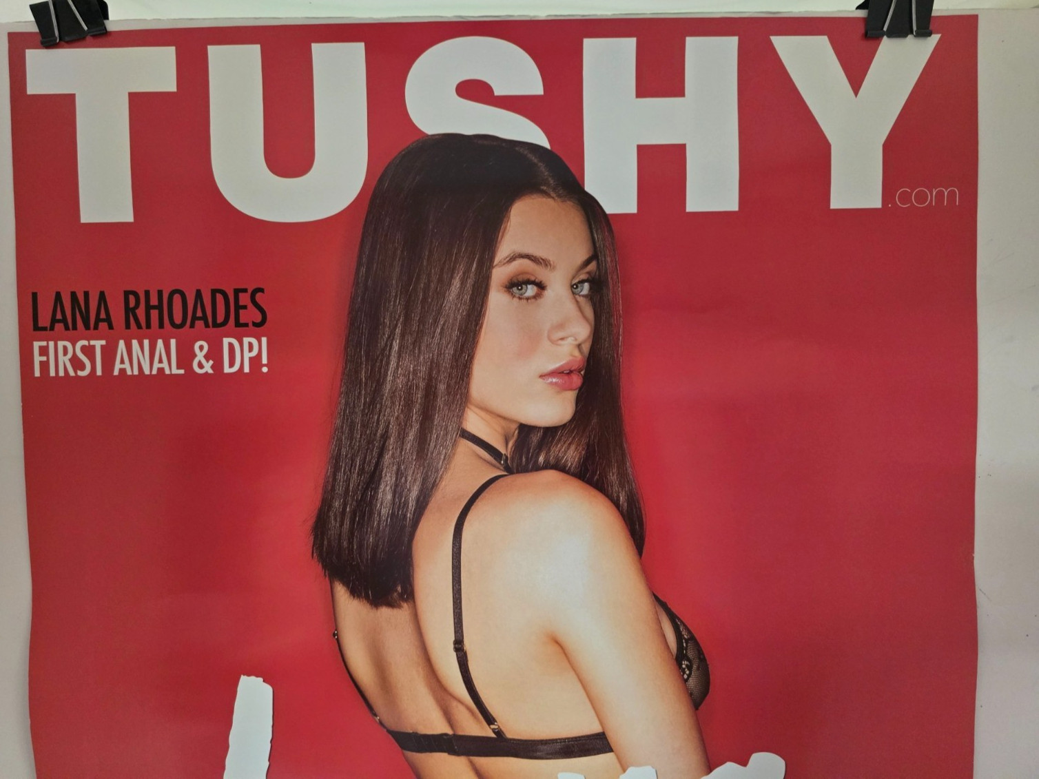 2 Sided 2017 TUSHY LANA / VIXEN "YOUNG & BEAUTIFUL" PROMO POSTER (19"X27")