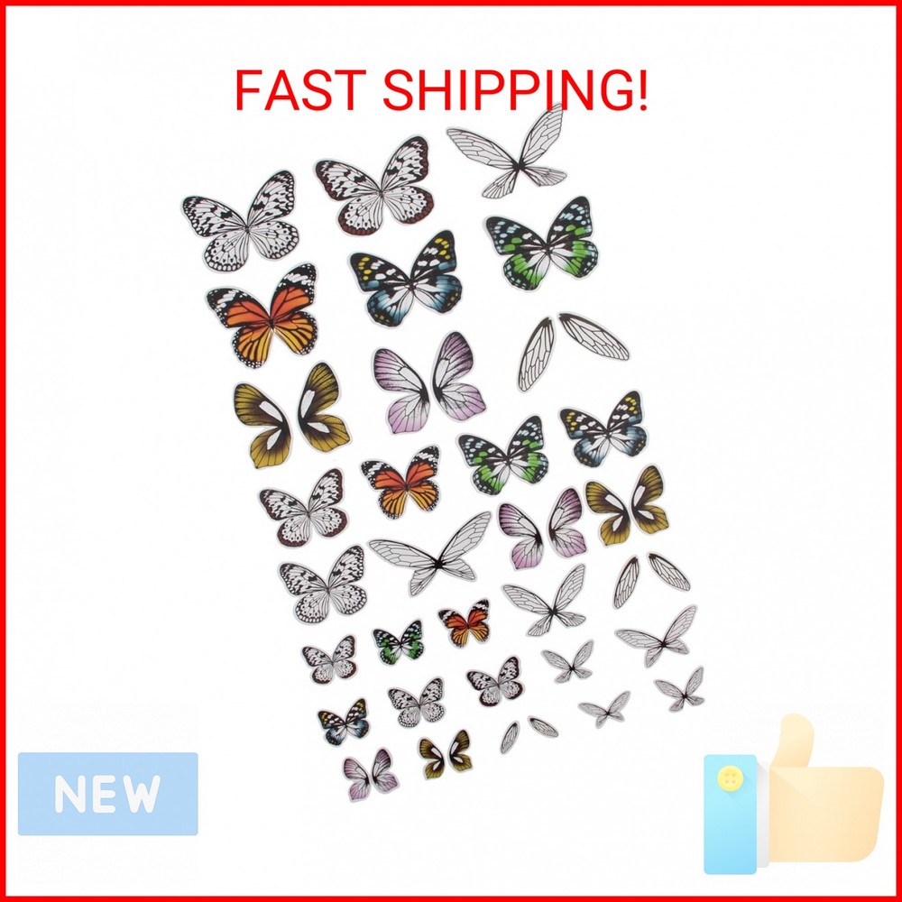 Tim Holtz, Advantus Transparent Wings, white 72 Count