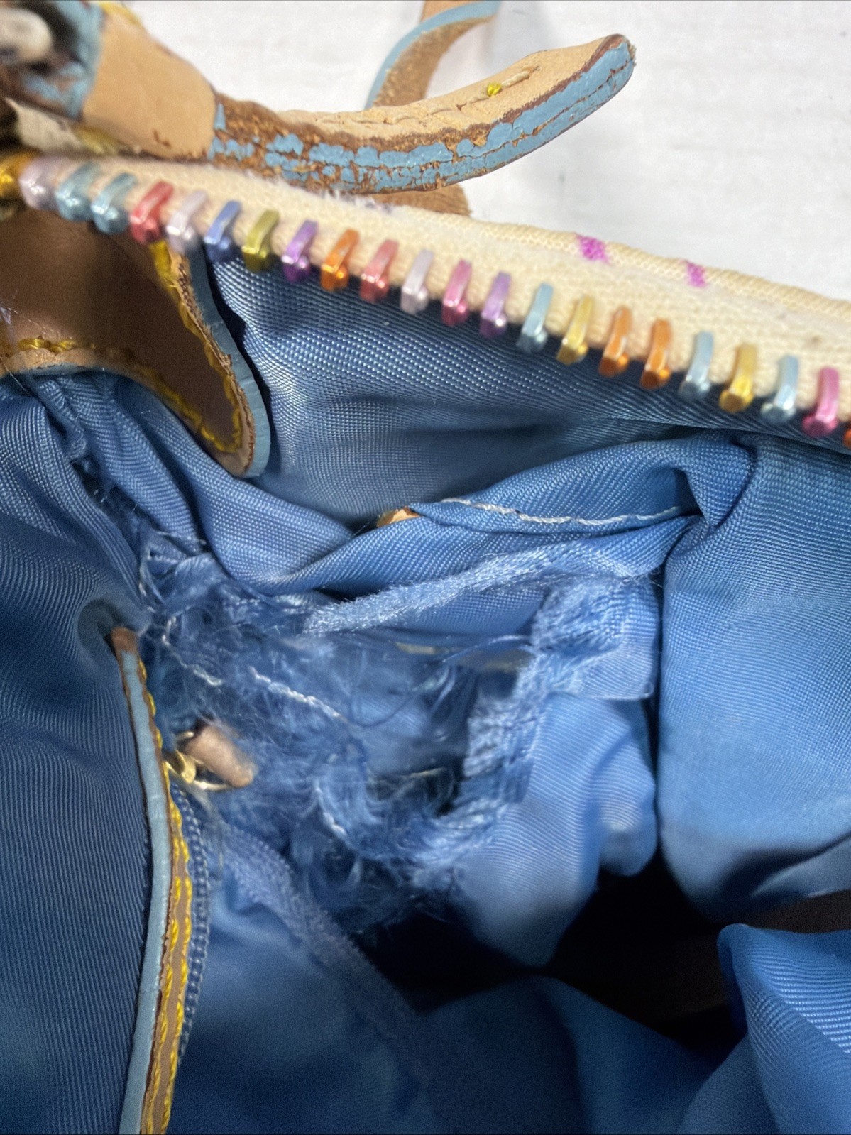 Dooney And Bourke Disney Printed Crossbody