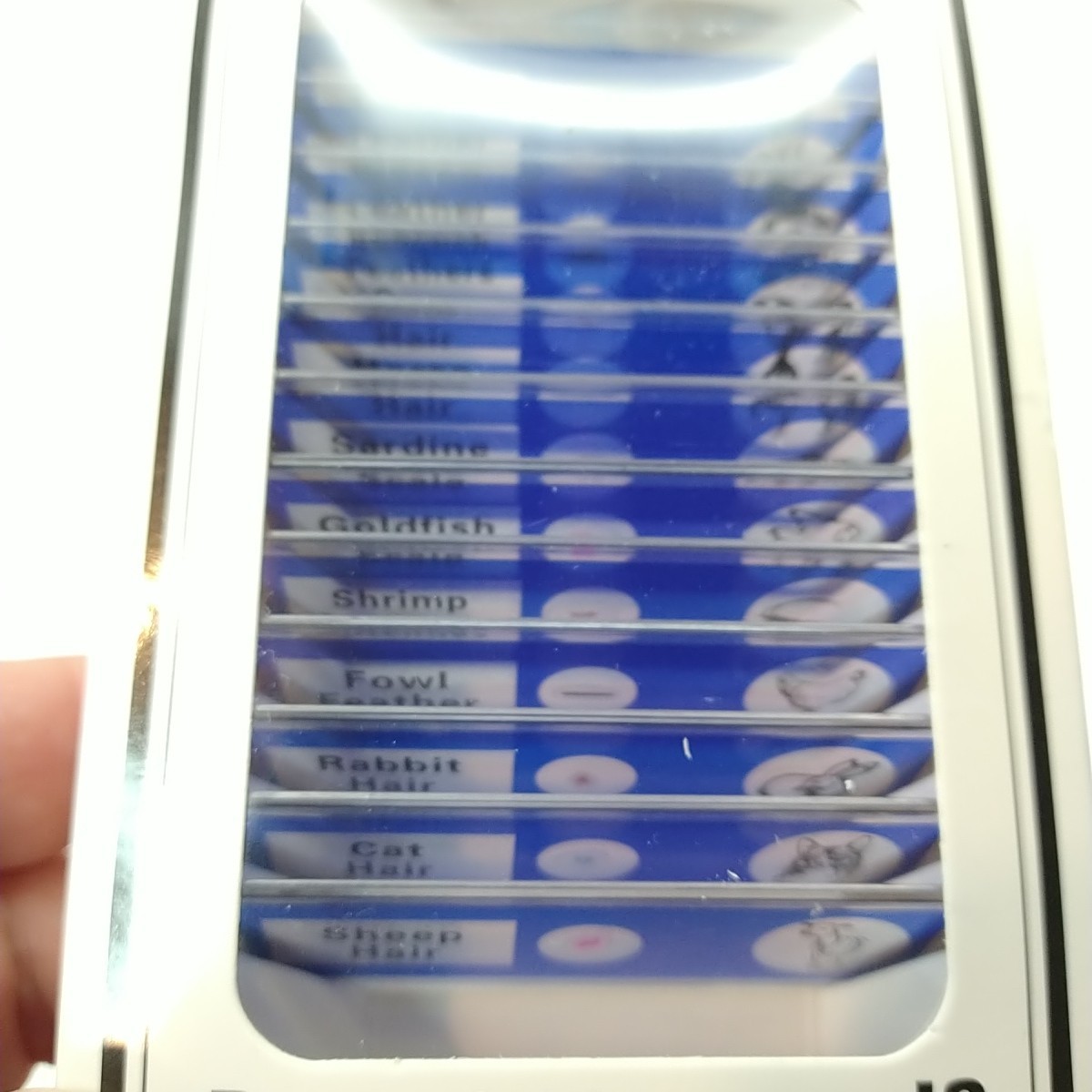 48Pcs Prepared Microscope Slides Specimen Animals Insects Plants Flowers Sample