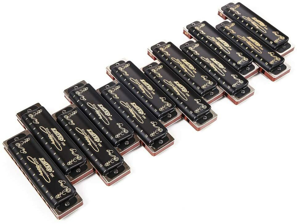 EASTTOP Harmonica Set 12Pack Diatonic Blue 10Hole Harmonica Set Party Lover Gift