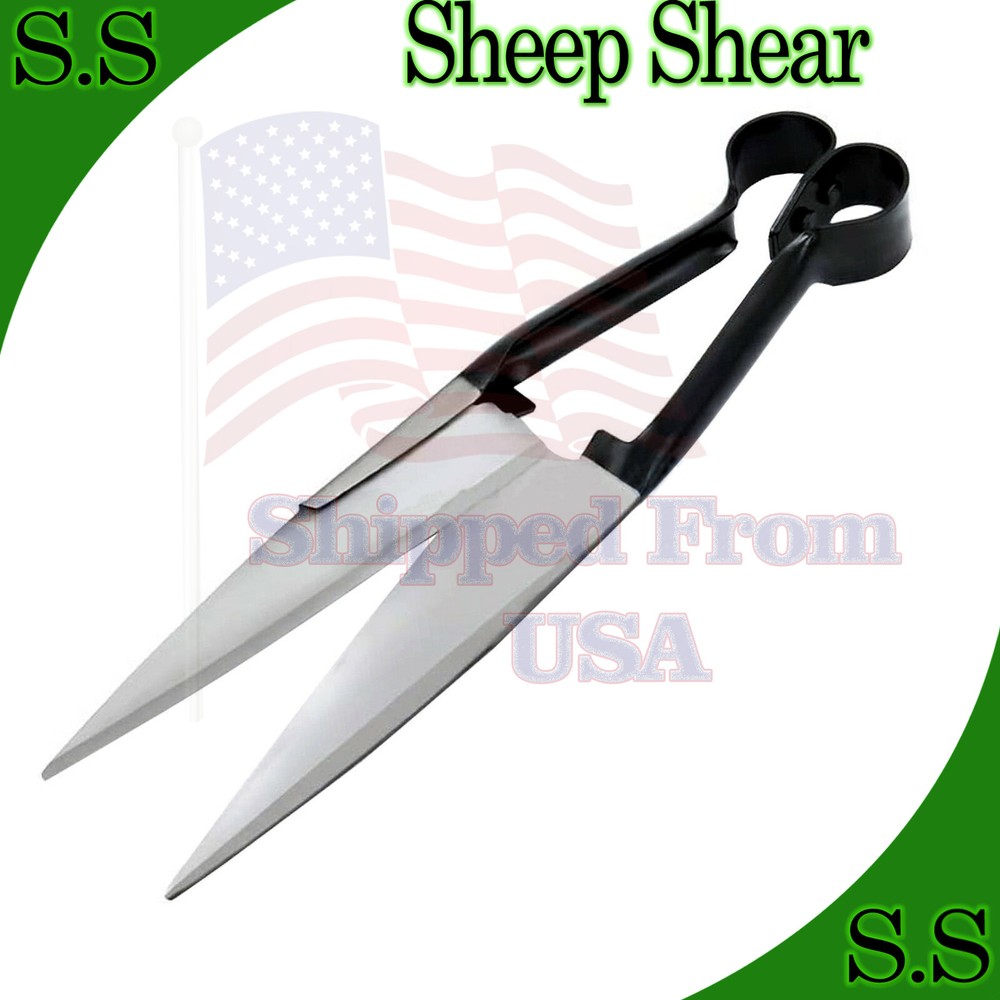 Sheep Shear (Black Painted) Veterinary Instruments