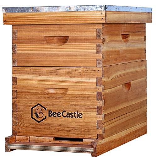 10-Frames Complete Beehive Kit, 100% Beeswax Coated Bee Hive Includes Beehive