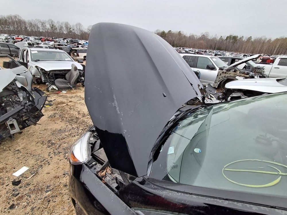 2016 Ford Focus Driver Front Door Shell Black Used Local Pick Up Only