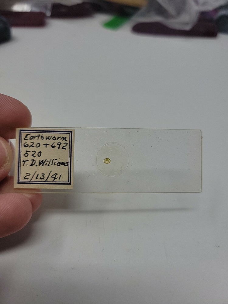Vintage Microscope Slide 1941