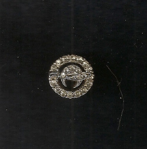 Ladies Masonic Pin