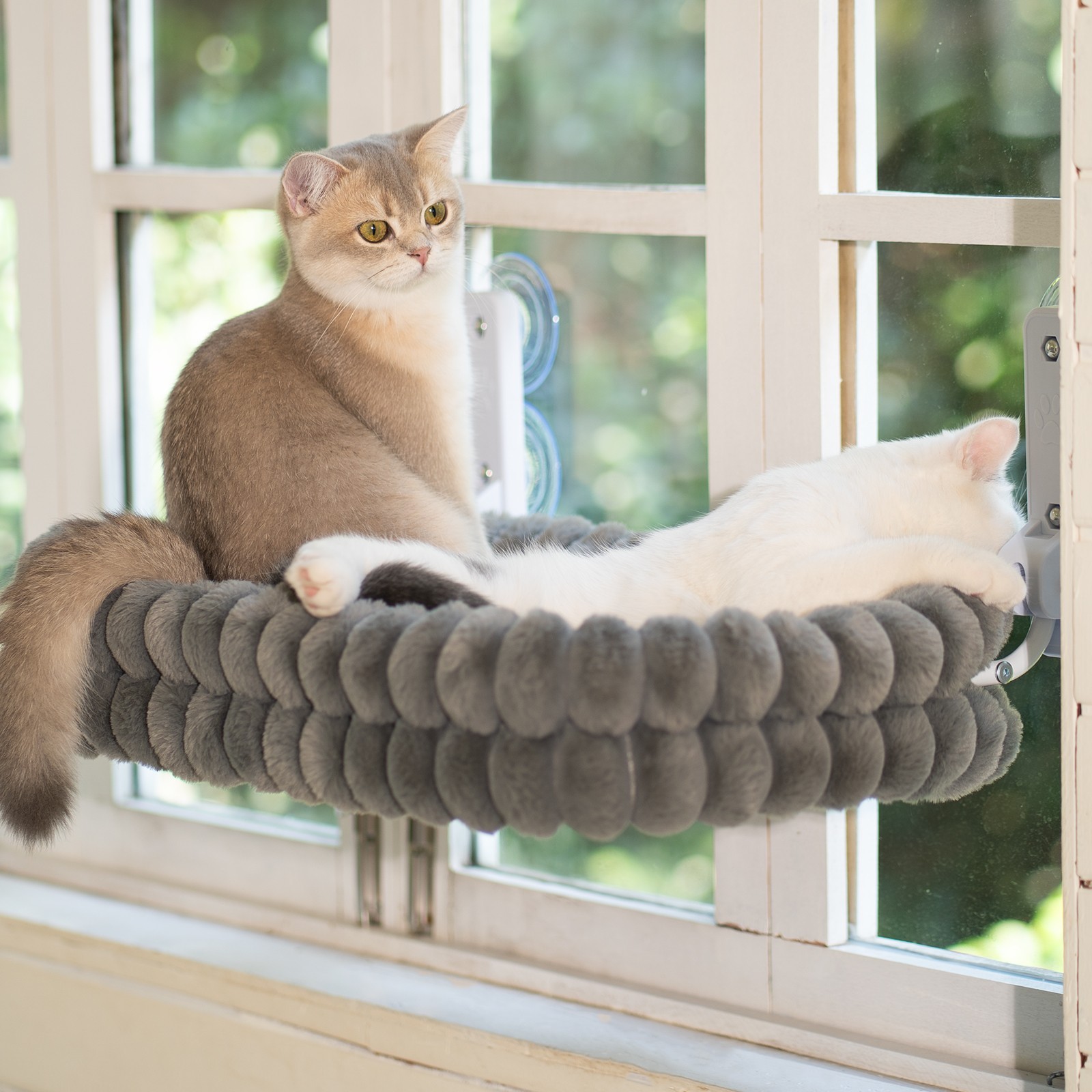 Cat Window Perch, 23*15in Double-Layer Foldable Pet Hammock(Medium,Gray)