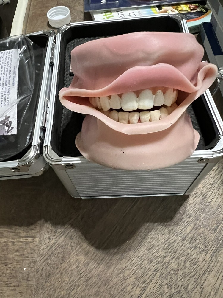 Acadental modupro typodont, with inserts, practice teeth, study model and extras