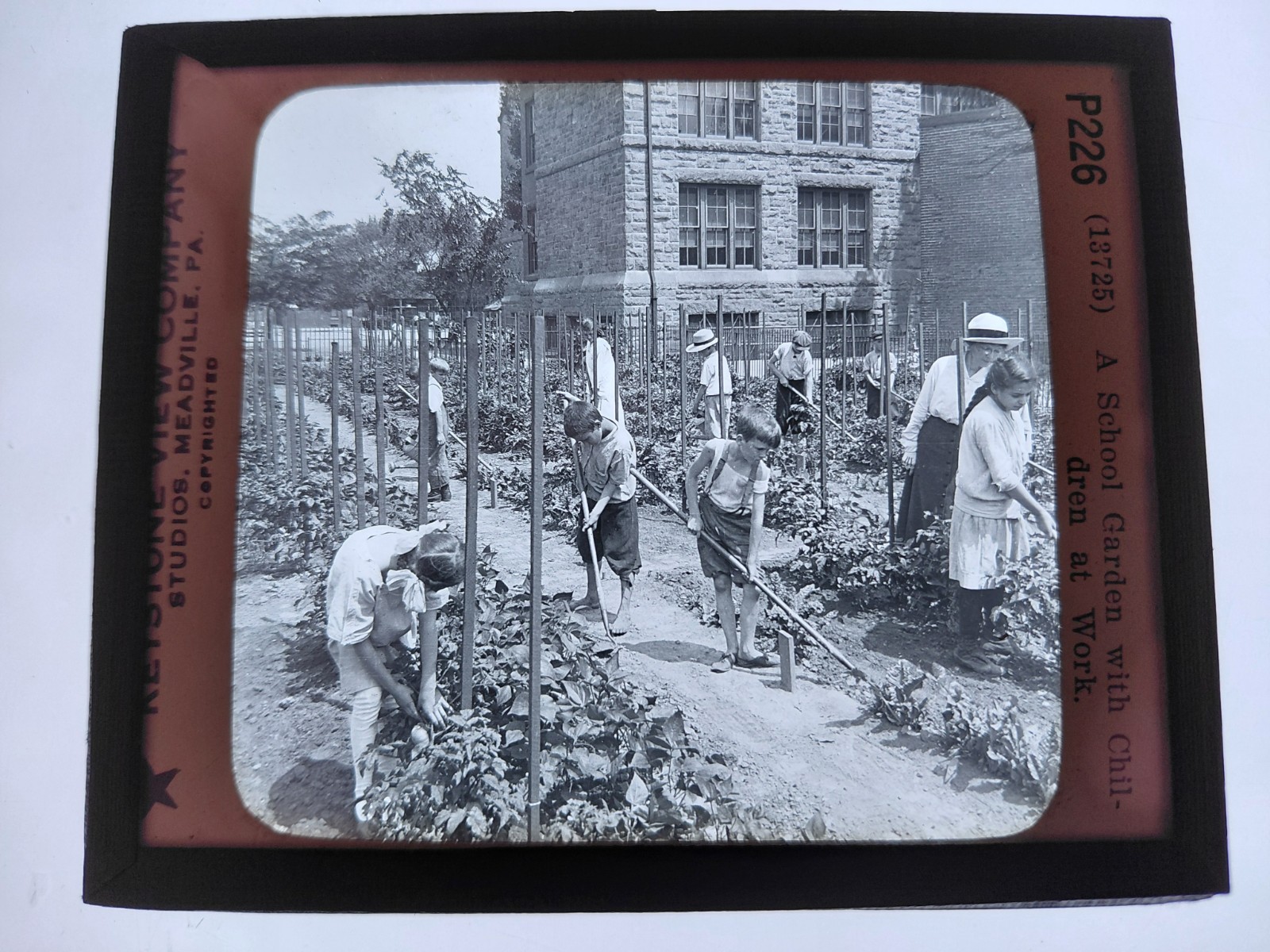 Magic Lantern Glass Slide Photo Keystone P226 School Garden w Children At Work