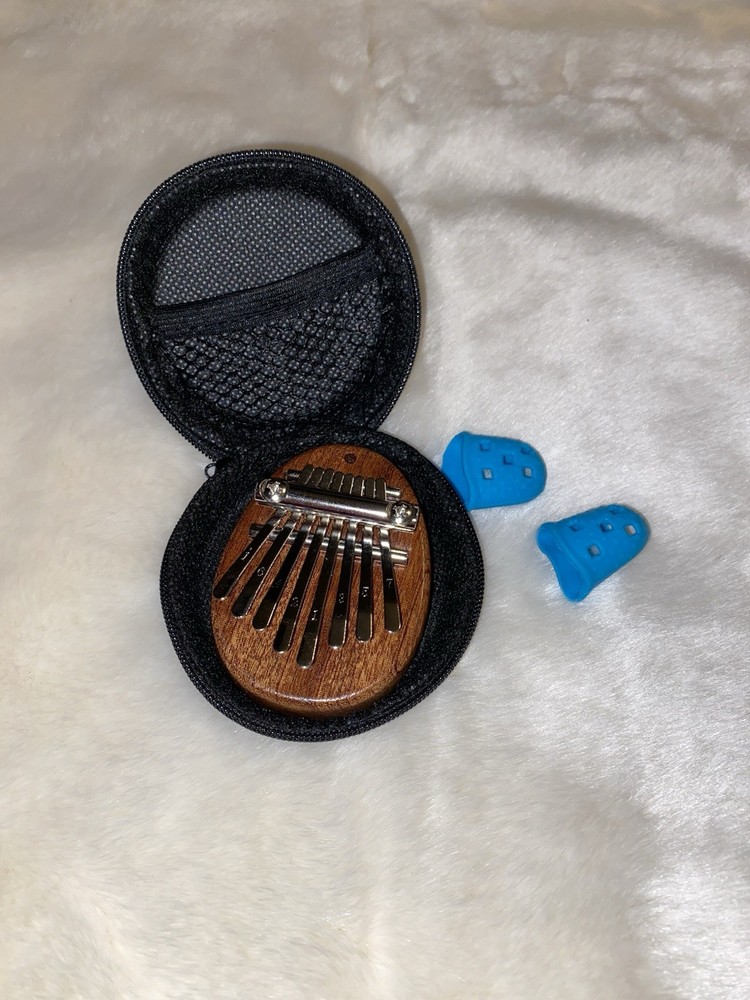 Thumb Piano and Case