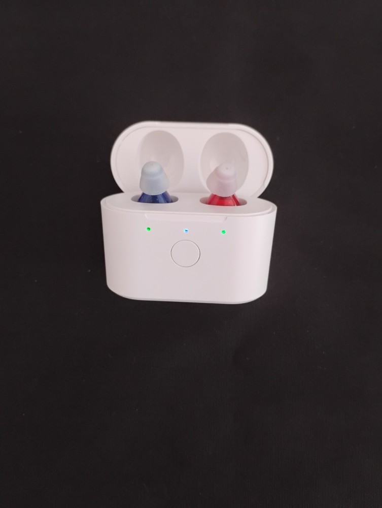 RECHARGEABLE tiny digital amplifiers 3 programs NOISE & HIGH FREQUENCY US
