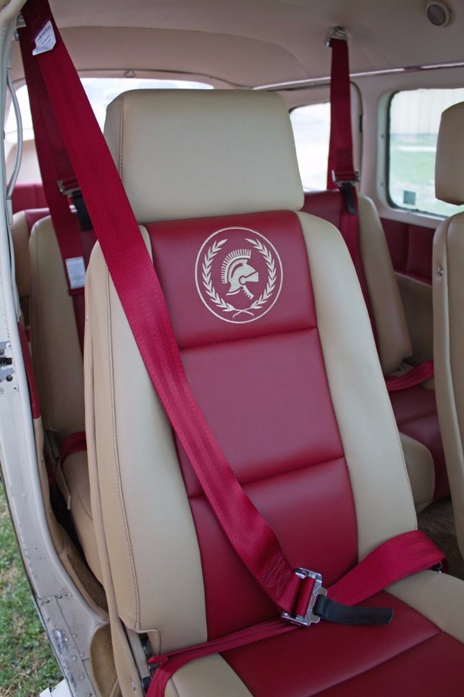 Cessna 172 or 182 complete leather interior
