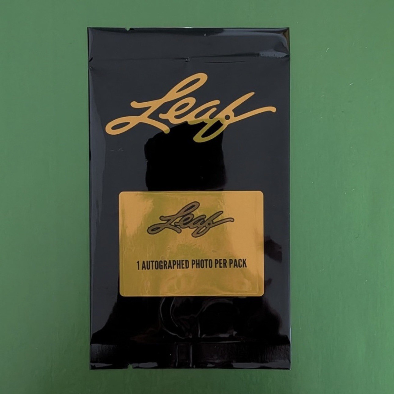 2025 Leaf Photographic - Ana Castillo Signed Polaroid! So Far From God Author