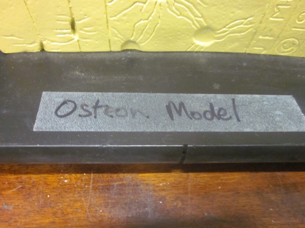 Vintage 1941 Mueller Human Bone Structure Osteon Model