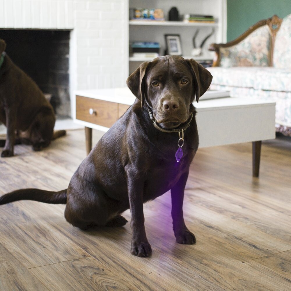 20PC UV Flashlight Mini Keychain LED Torch Light Blacklight Key Ring Lights US