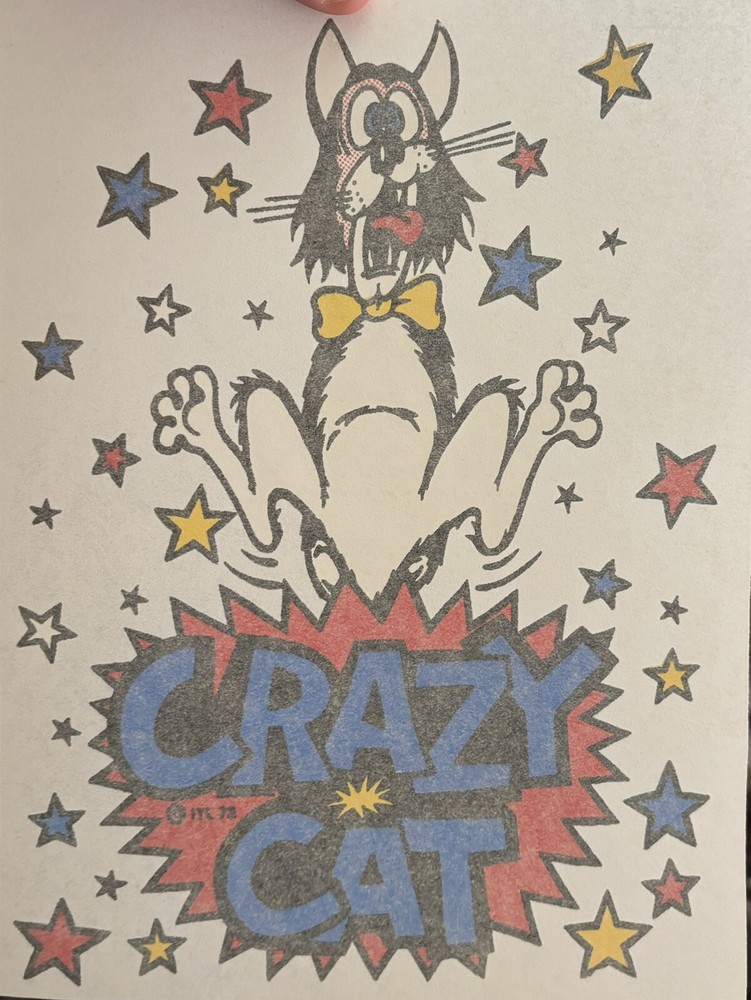 Original Vintage 1973 Crazy Cat Iron On Transfer