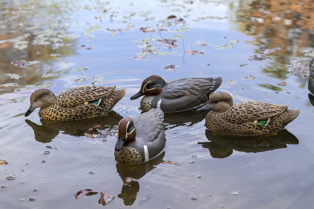 Green-Winged Teal - Floaters - 6-Pack, - - 6-Pack