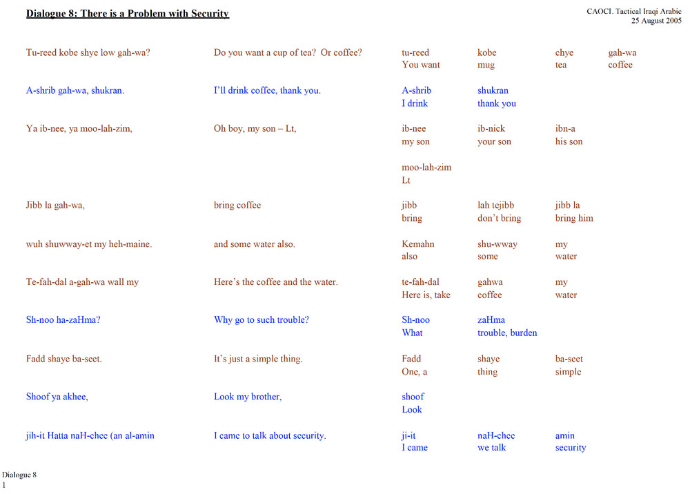 10+ Hours MP3 Audio USMC IRAQ TACTICAL ARABIC LANGUAGE Plus Text on Data CD