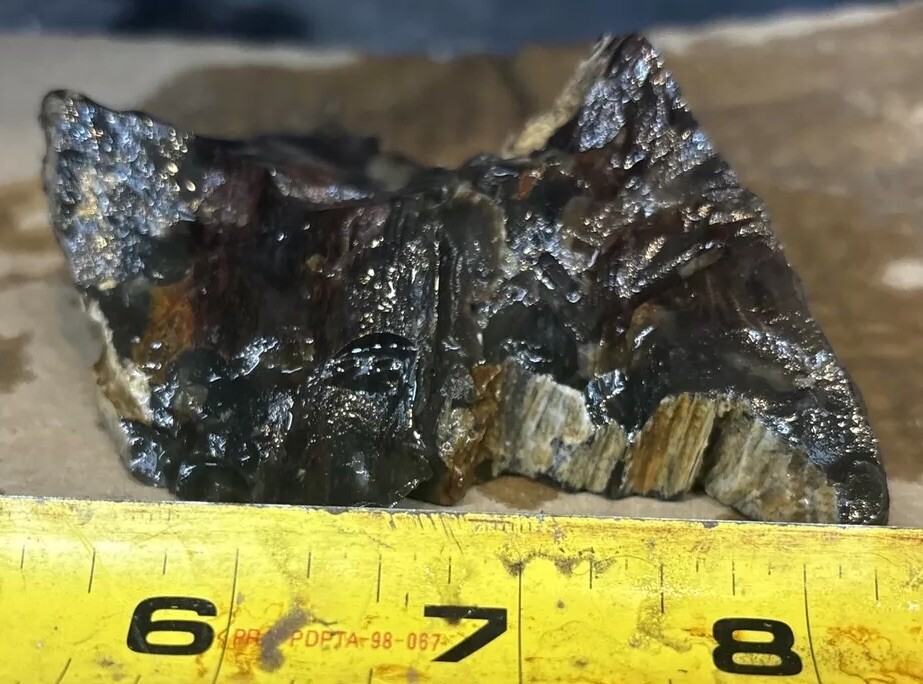 Silver Creek Junction Petrified Wood