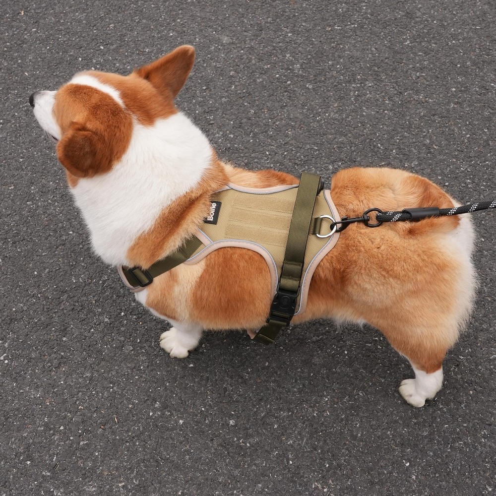 Small Dog Harness, Heavy Duty Tactical No-Pull Reflective Harness & Collar Se...