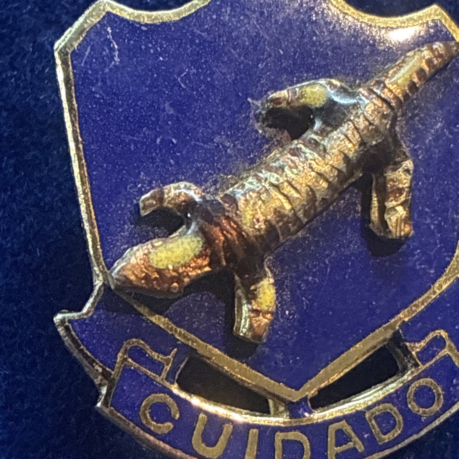 Military Crest Pin 158th Infantry Regiment CUIDADO Gila Monster Militaria ~ L