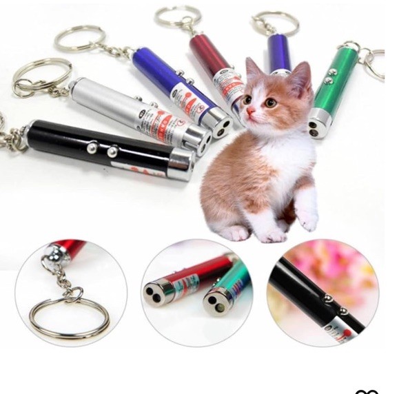 Laser Pointer Pen Visible Red Beam Lazer Light Cat dog presentation