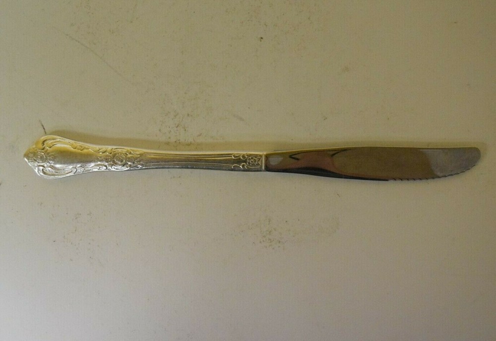 Vintage WM Rogers Oneida Vanessa Francesca Silverplate Modern Solid Knife 9"