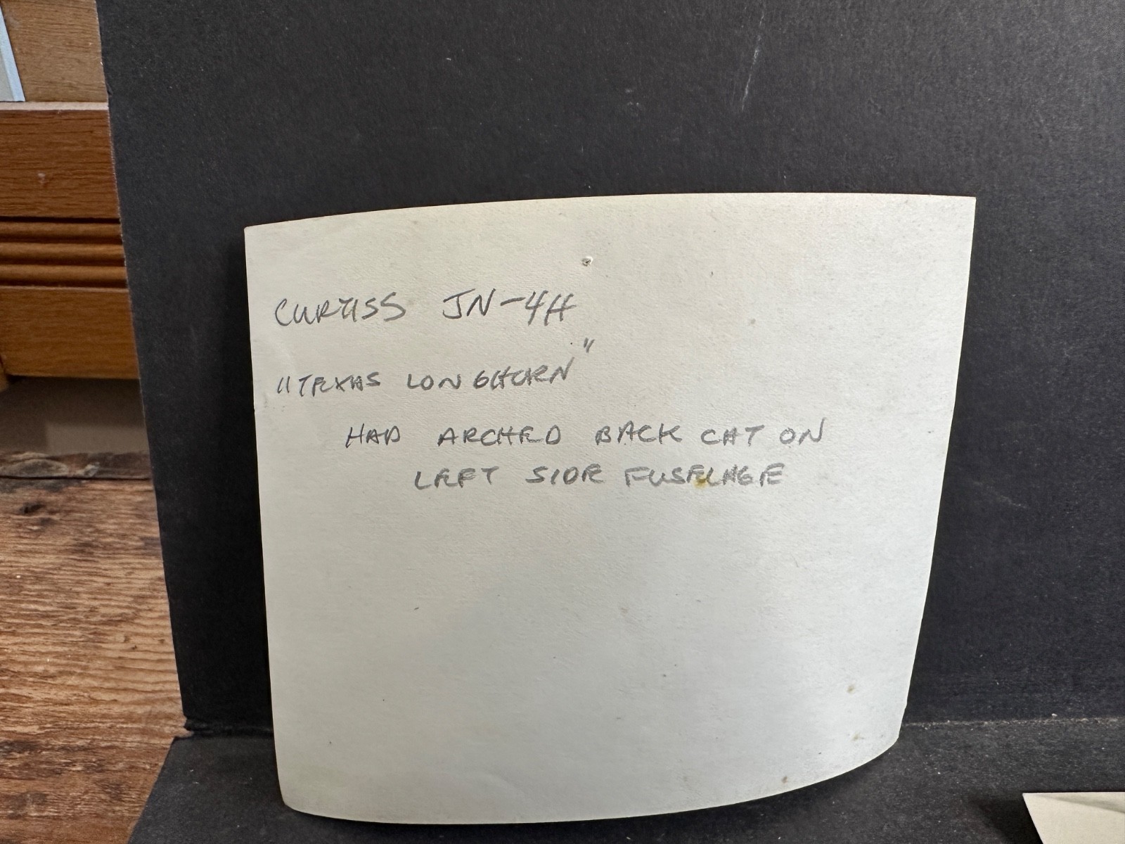 21 Photos 1919 Victory Loan Flying Circus, WW1 Airplanes, Pilots, Aces, Midwest