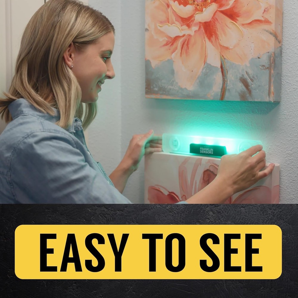 High Visibility Magnetic Level with LED Display/