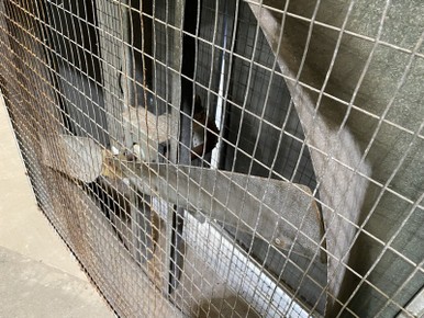 Salvaged Agricultural Fan, 48"Dayton 4B049 Direct Drive Ventilation Unit