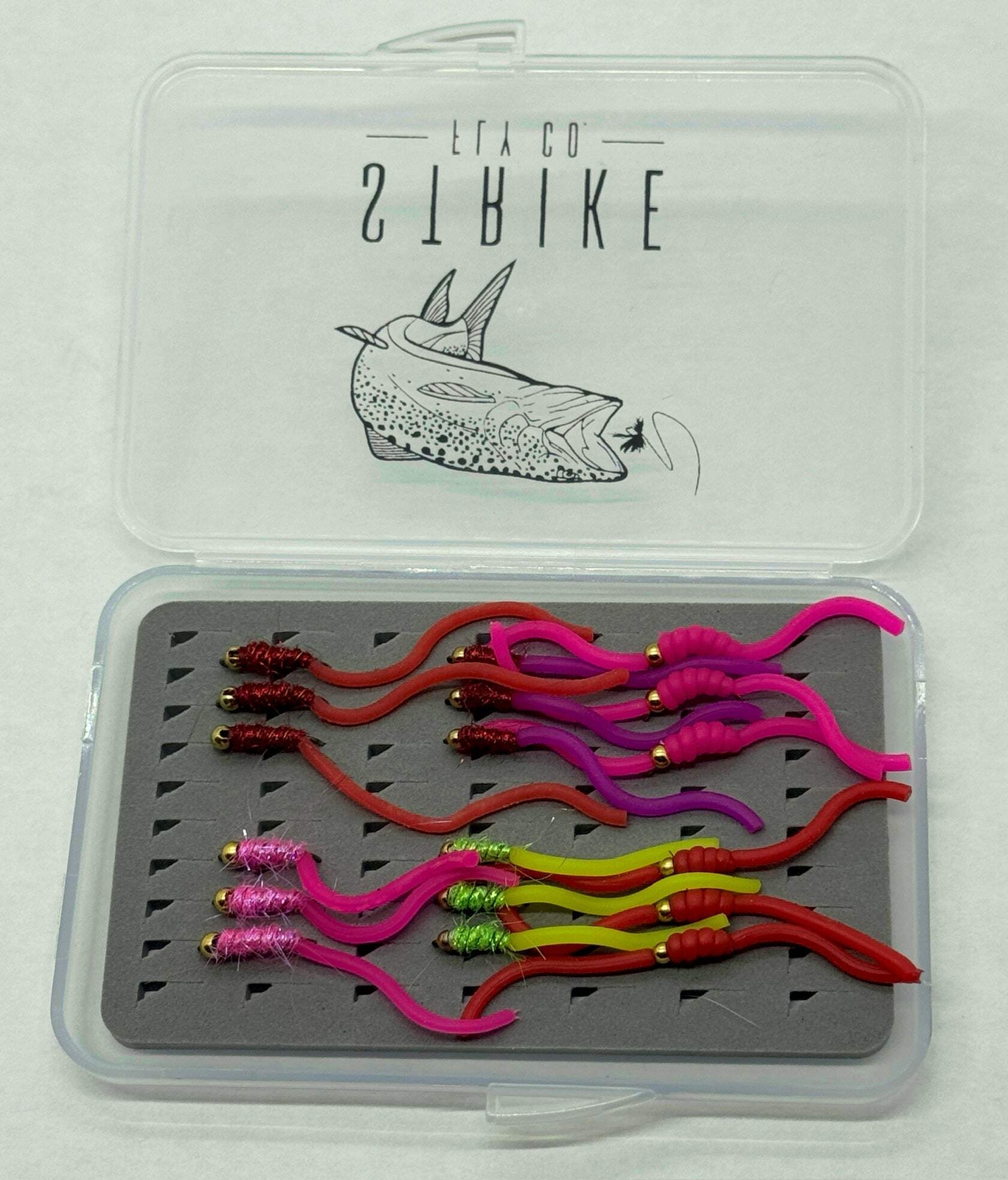 18 Piece - Squirmy Worm Assortment