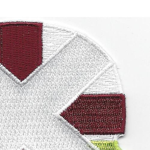 10th Combat Support Medical Hospital Patch