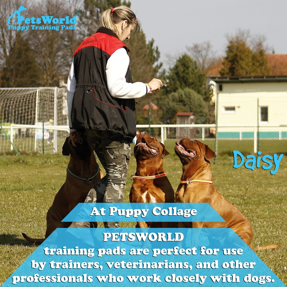 PETSWORLD Mastiff's Massive Training Giant Pads, 28x44 inch, Case 50