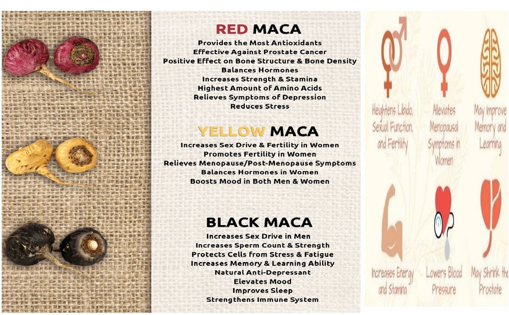 MACA ROOT 1000 MG POTENCY SUPPORT POWER ENERGY PILLS PERFORMANCE
