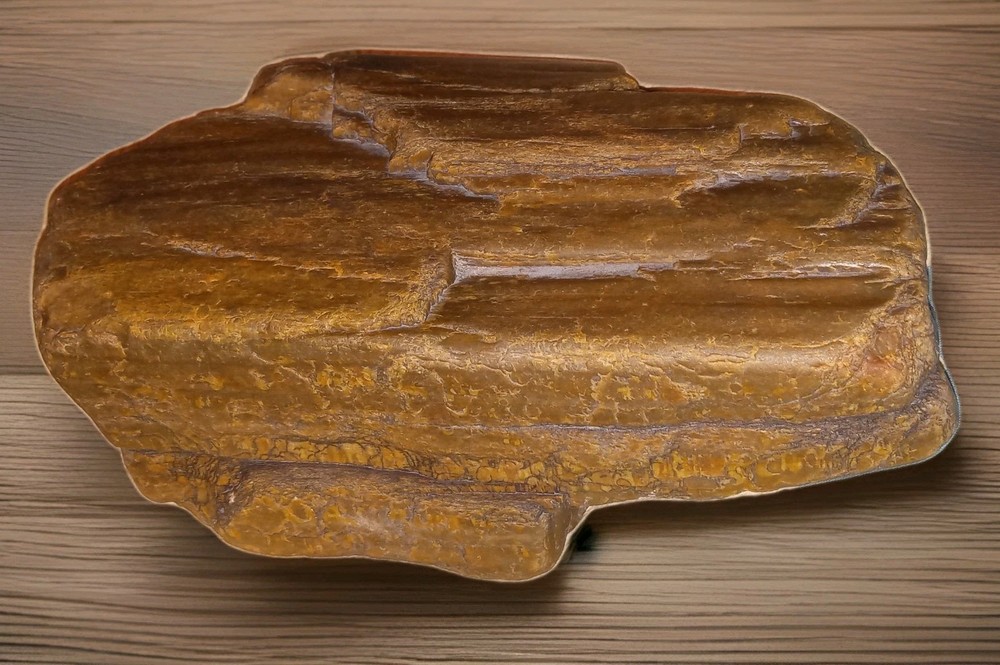 Petrified Wood Rough 2 lb+ AZ