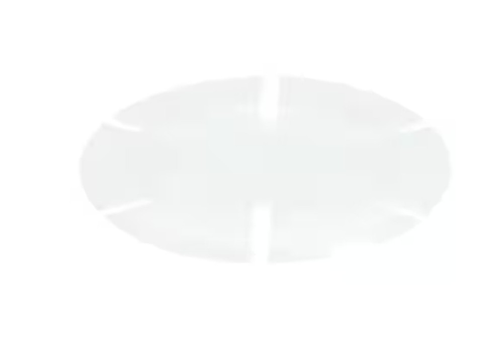 Bizerba 60666401100 Thrust Washer