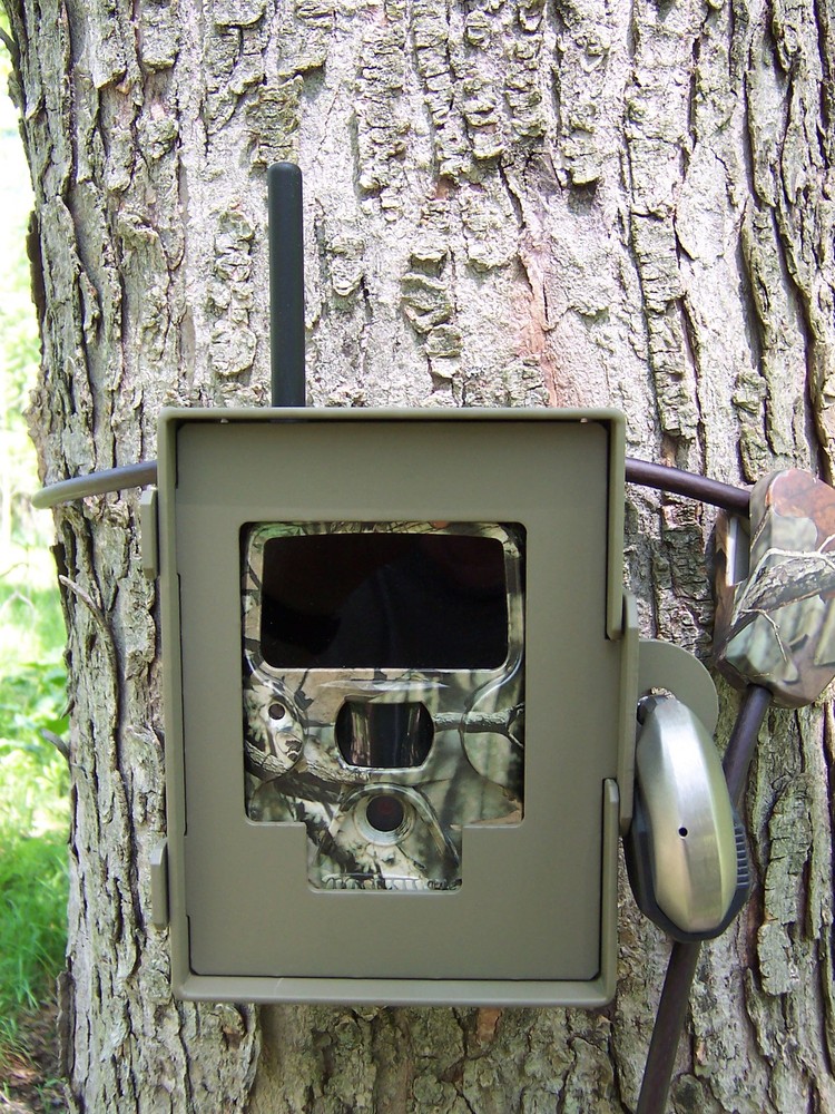 2012-2015 DLC Covert Special Ops Code Black Bearsafe Security Box   Made In USA