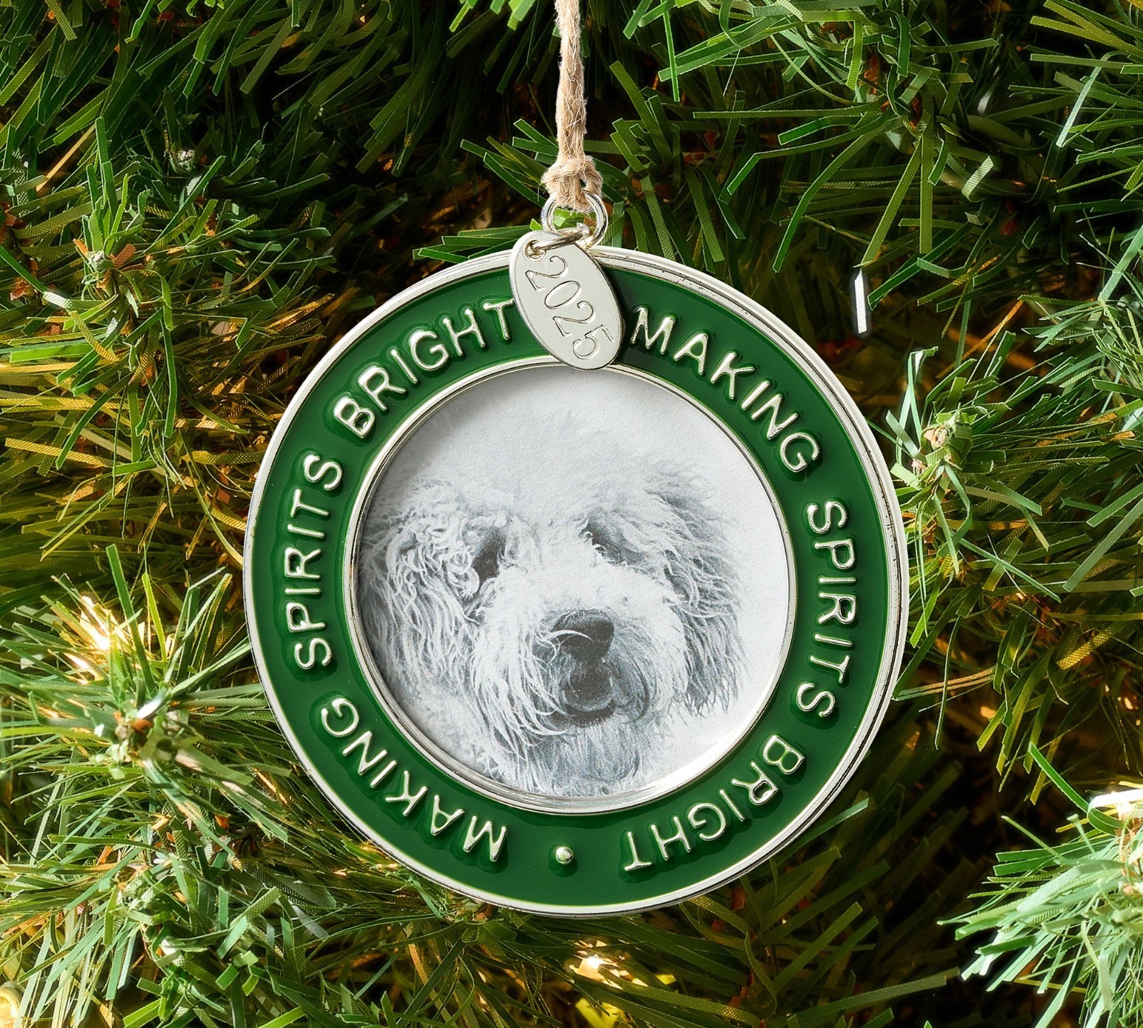 NEW Pottery Barn Dated 2025 Green Round Merry and Bright Frame Ornament NWT