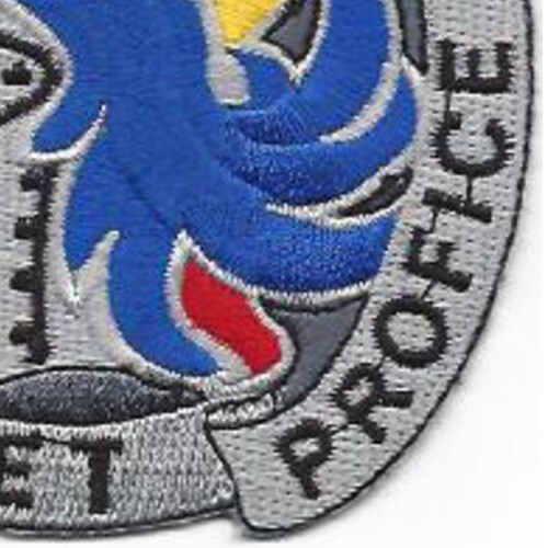 202nd Military Intelligence Battalion Patch