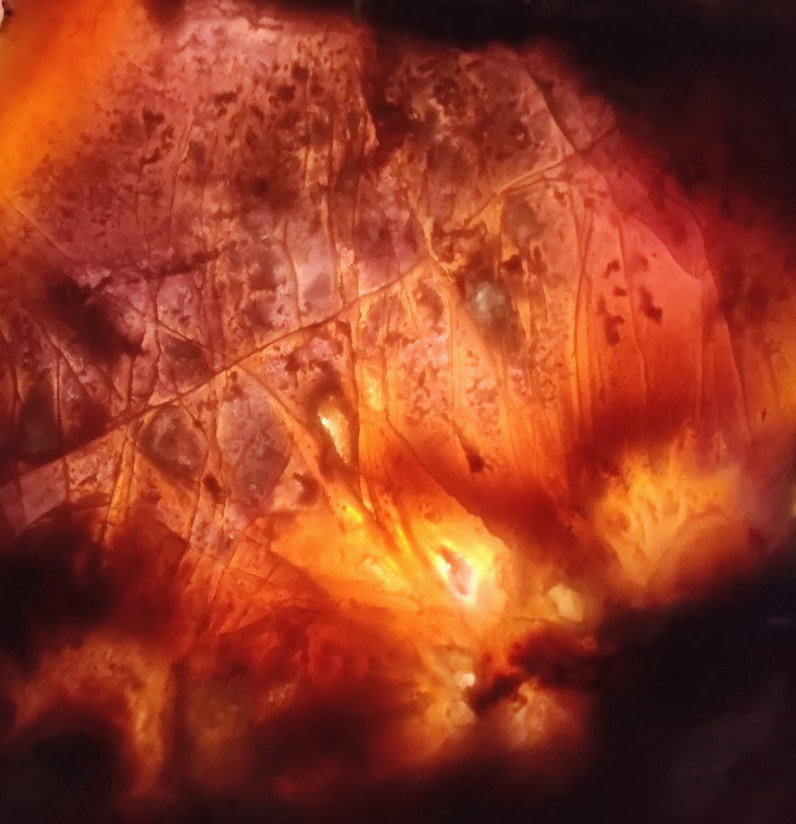 Epic 6" Slab of Rare Burro Creek Agate, Intricate Details & Great Purple Tones