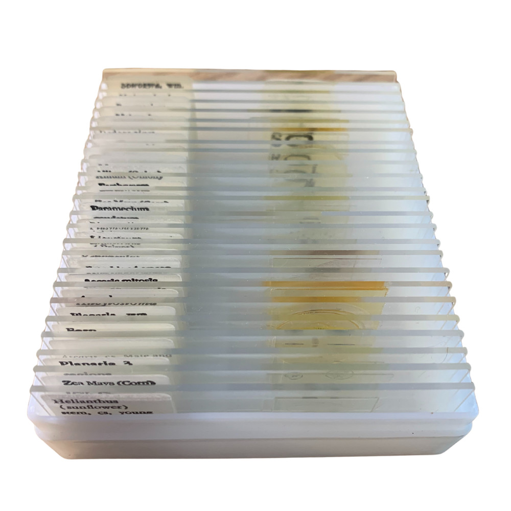 Basic Biology Slide Set, 25 Prepared Slides in Plastic Case