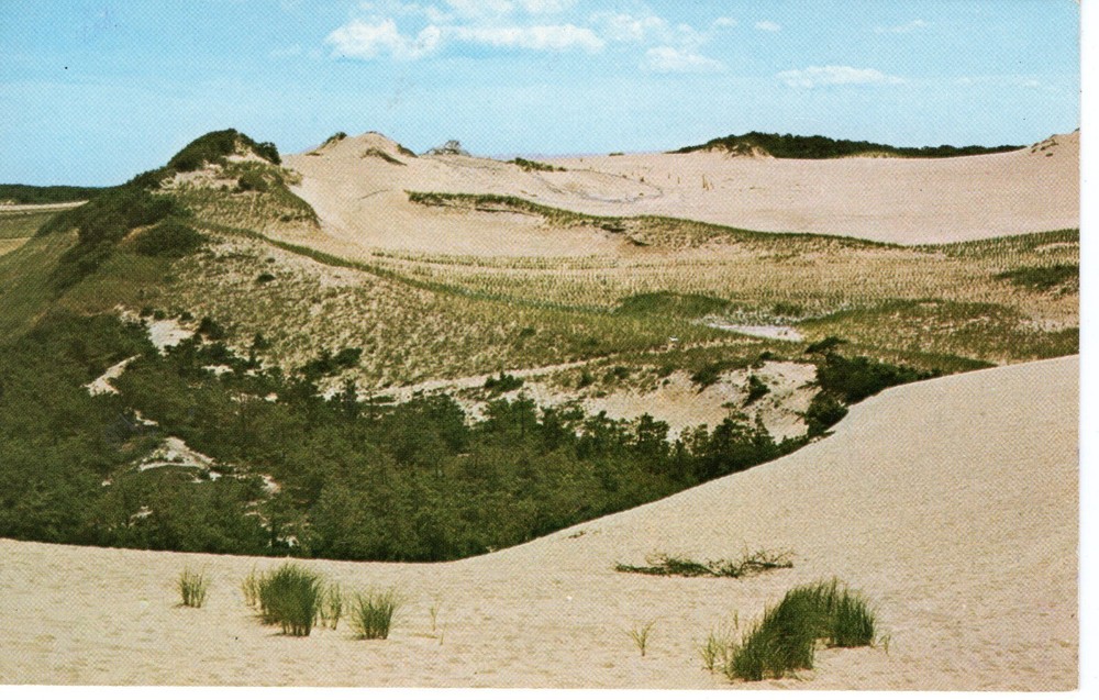 DUNES, CAPE COD, MA - PC5206