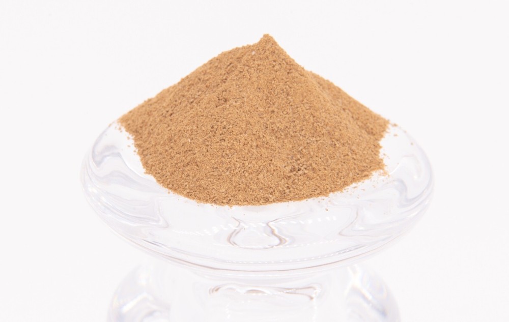 Triceratops Bone  - 100% Pure & Natural