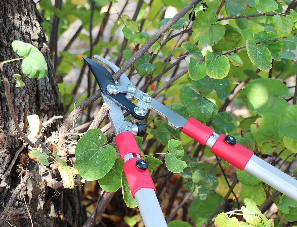 Extendable Bypass Lopper with Compound Action Telescopic Tree Trimmer Durable