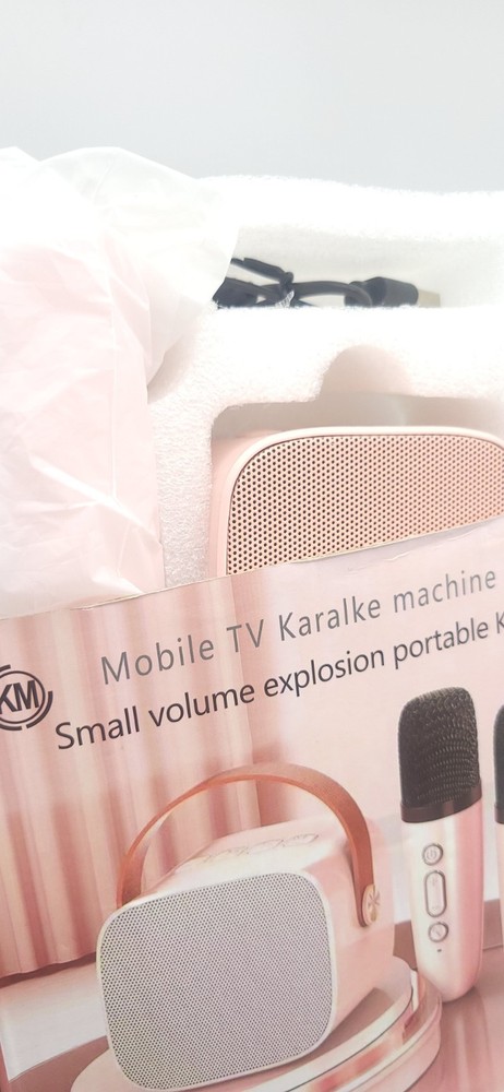 Portable Karaoke Bluetooth Speaker 2 Microphones