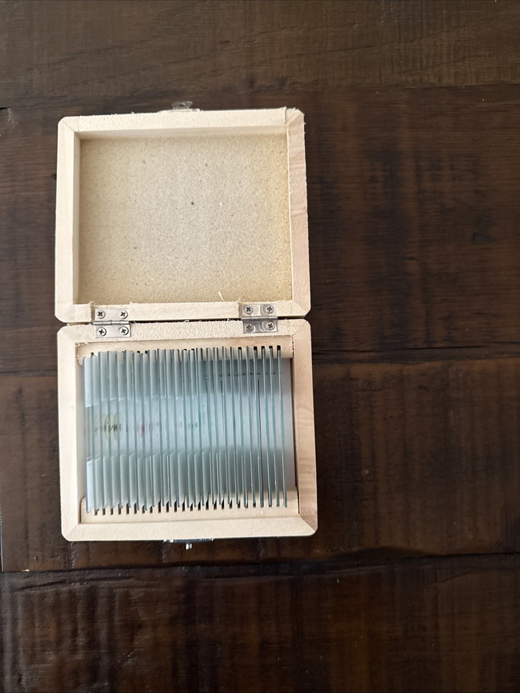 AmScope PS25W Prepared Slides