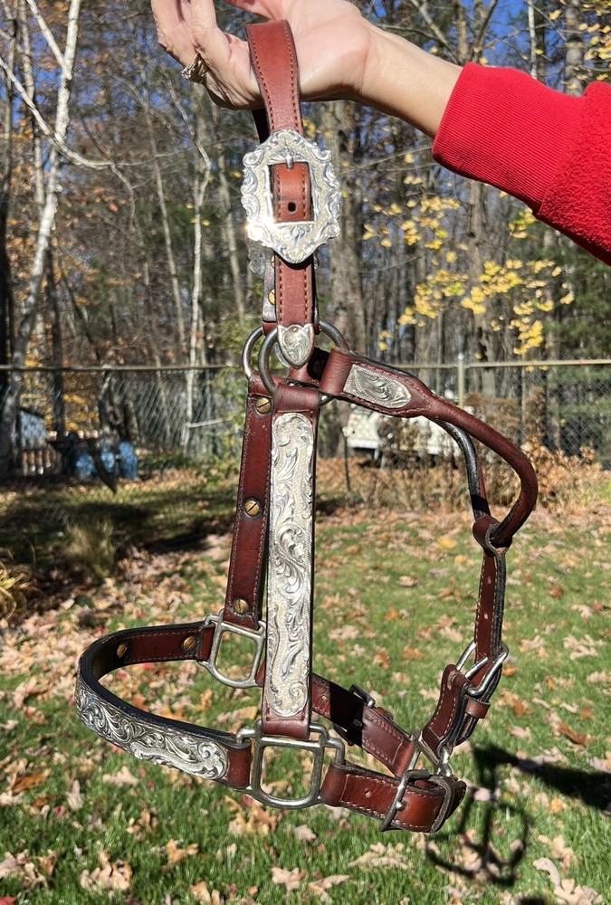 Yearling Show Halter
