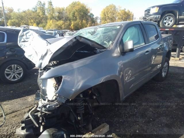 COLORADO 2019 Camera/Projector 1334254