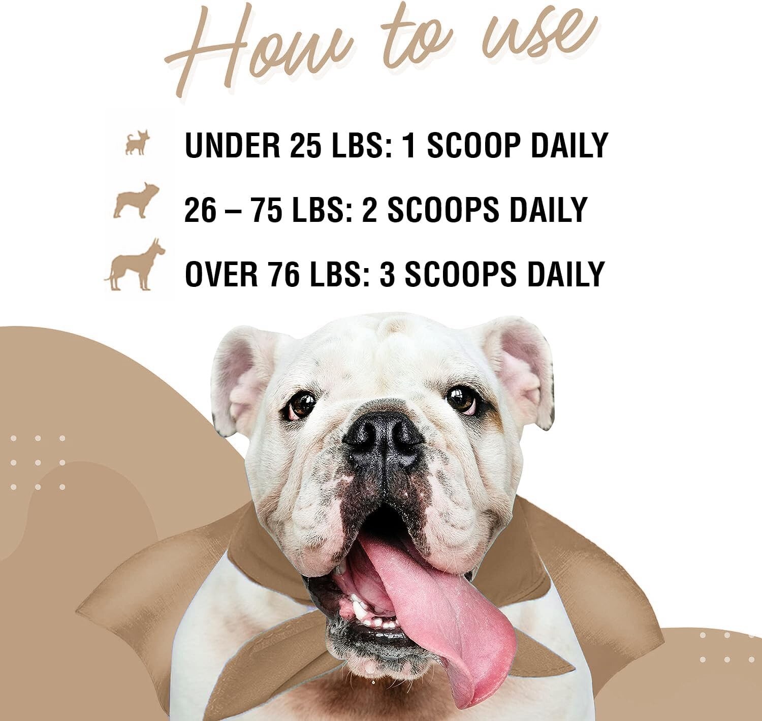 Wonder Paws Immune Support Mushroom Powder for Dogs – 90 Scoops