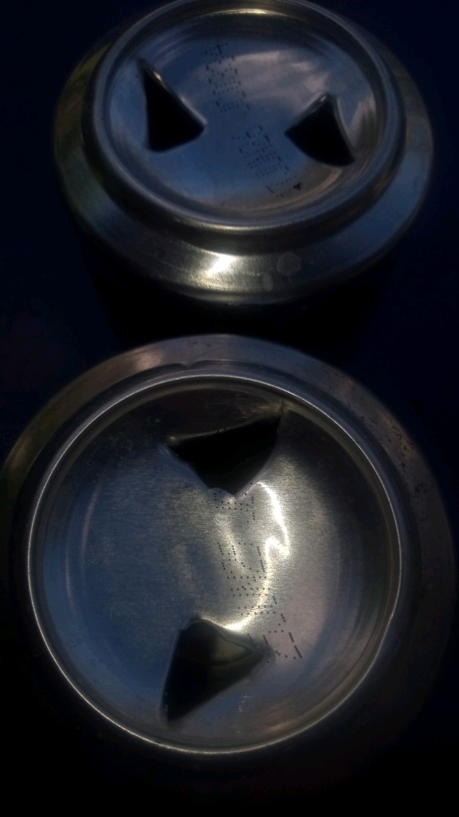 BUSCH LIGHT 2026 King Salmon & Bass EMPTY BEER can Fishing B/O can Lot Of 2